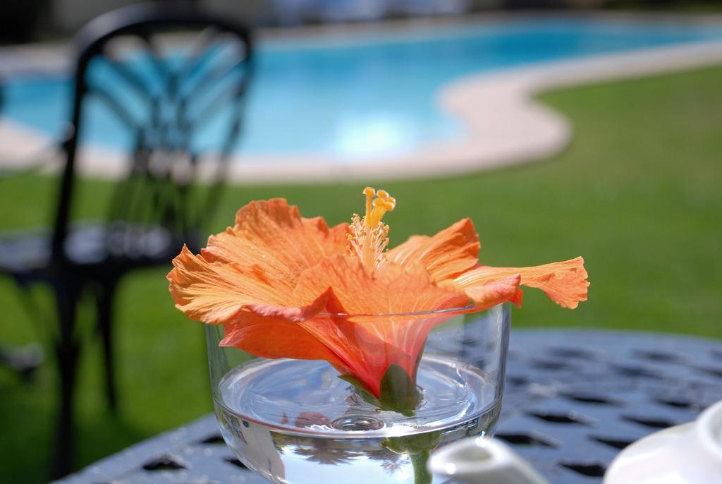 Mandalay Guest House Plettenberg Bay Εξωτερικό φωτογραφία